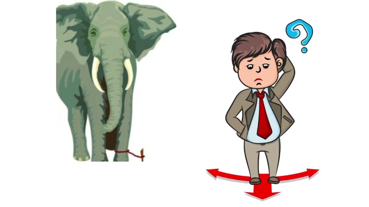 elephant rope