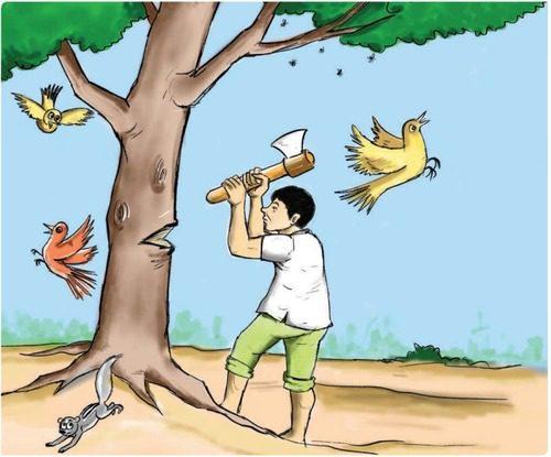 Apple Tree and a farmer
