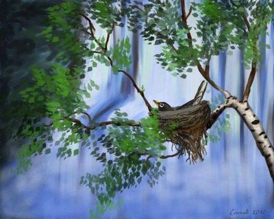 The True Representation of Peace