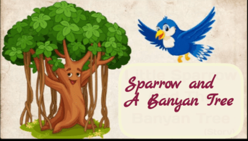 Sparrow and a banyan tree