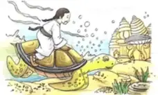 The Turtle and A Young Man