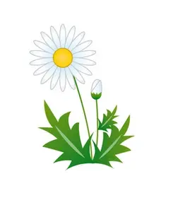 Margaret and The Flower