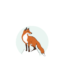 Jasper: The Wise Fox
