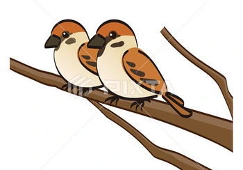 Two Sparrows