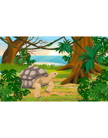 Tortoise and The Den